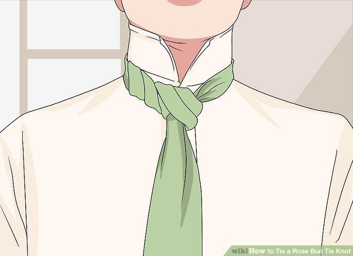 Step 15