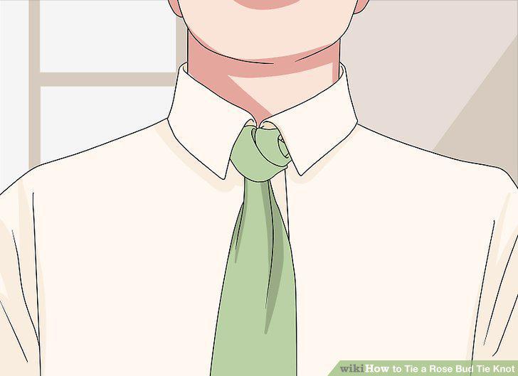 Step 17