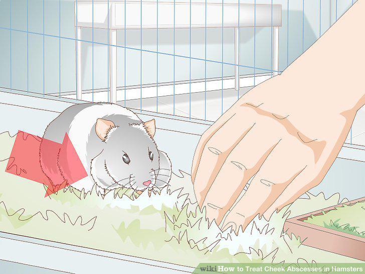 Step 8