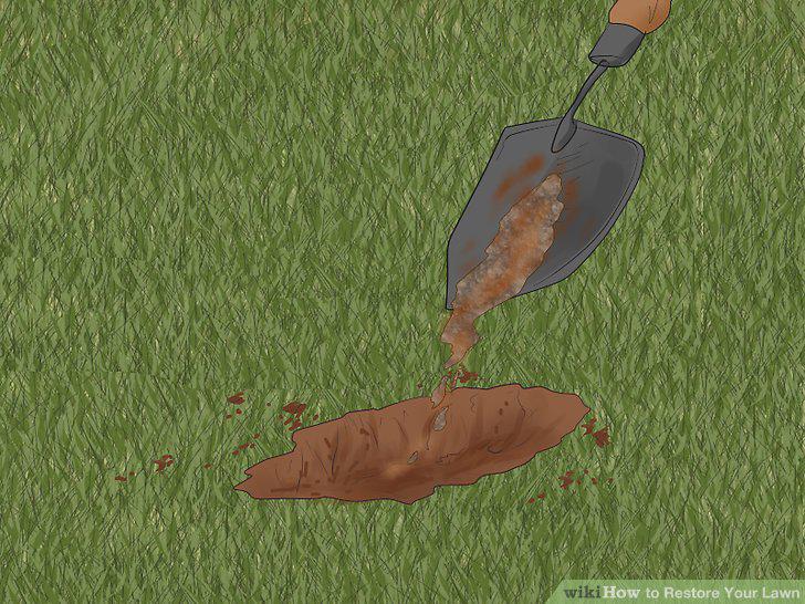 Step 11