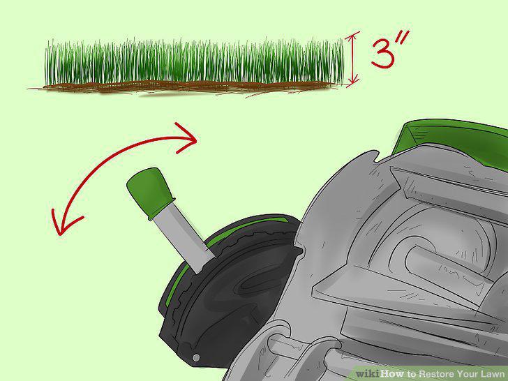 Step 10