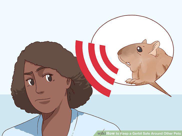 Step 13