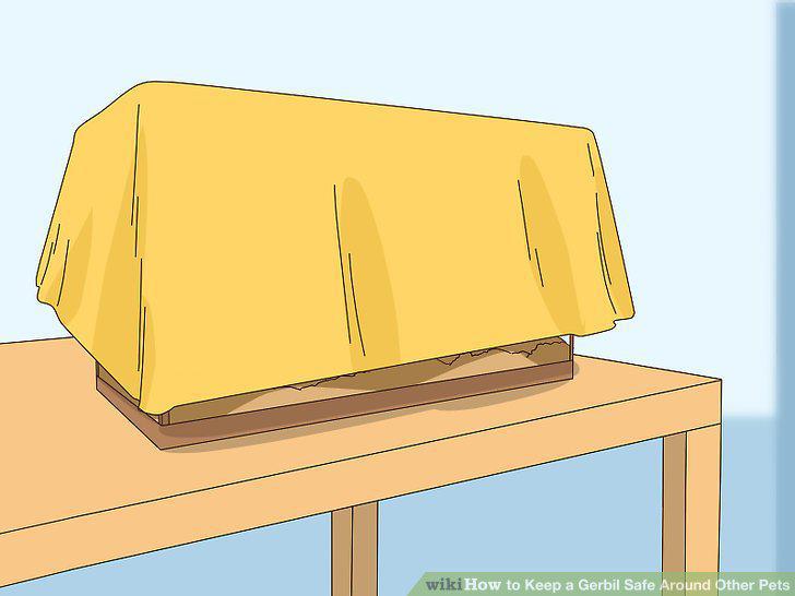 Step 6