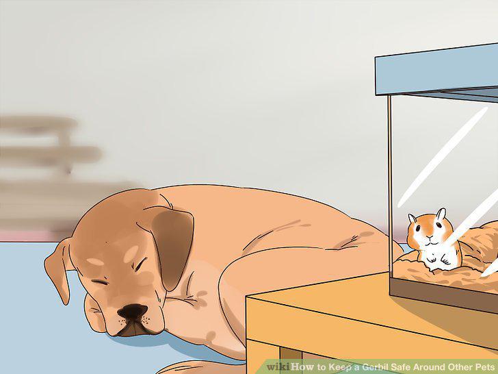 Step 9