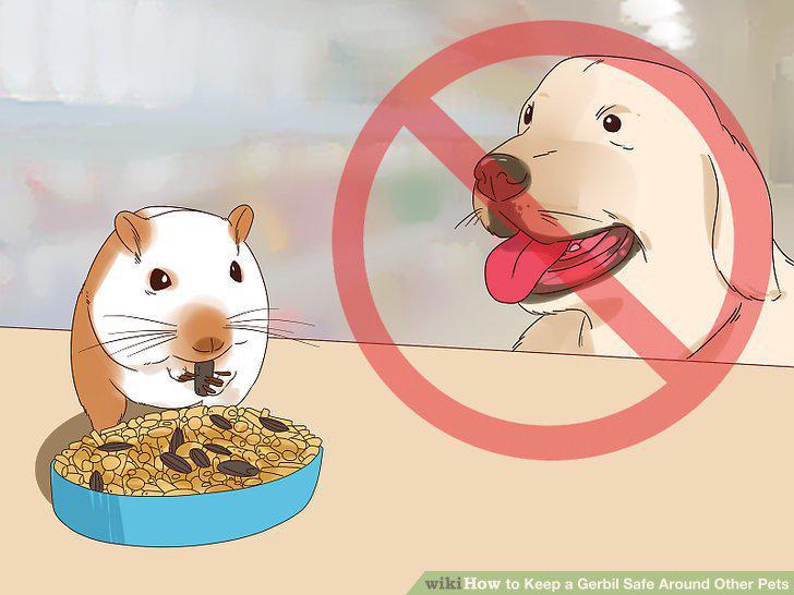 Step 10