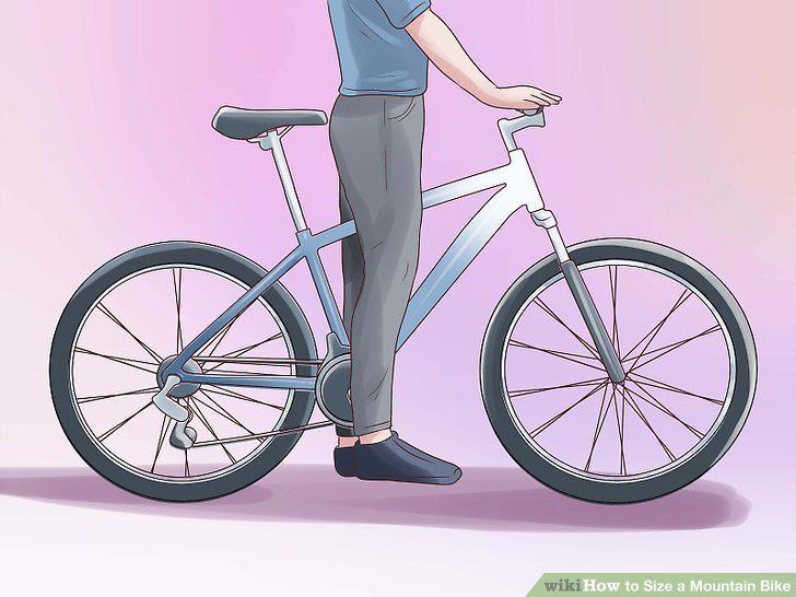 Step 12