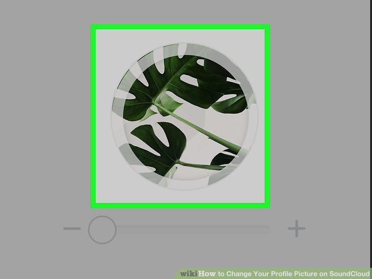 Step 12