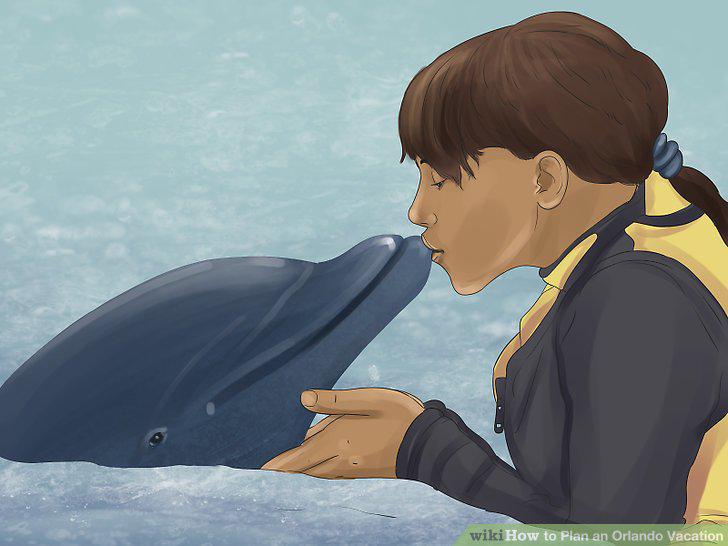 Step 16