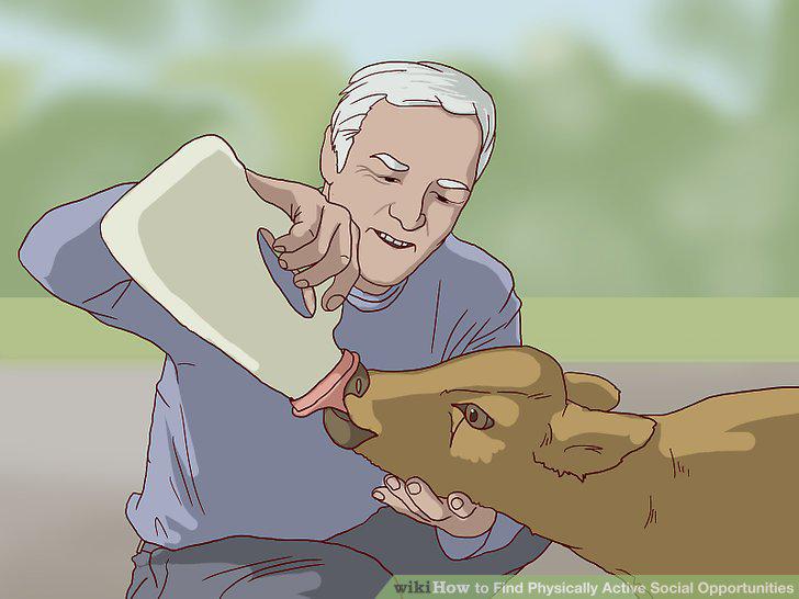 Step 15
