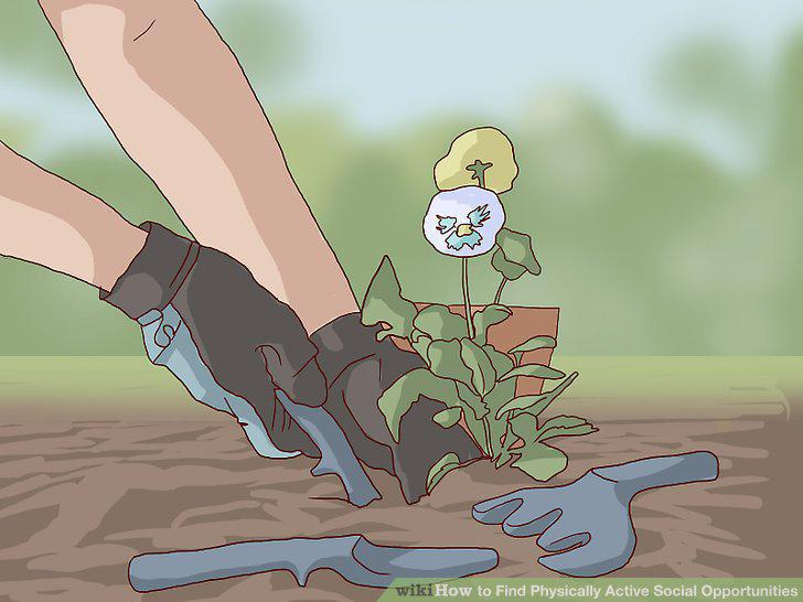 Step 16