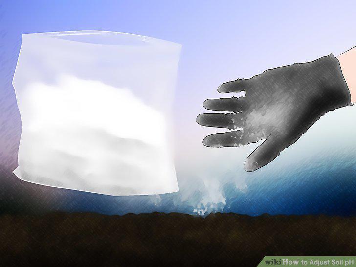 Step 12