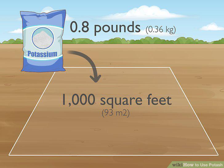 Step 11