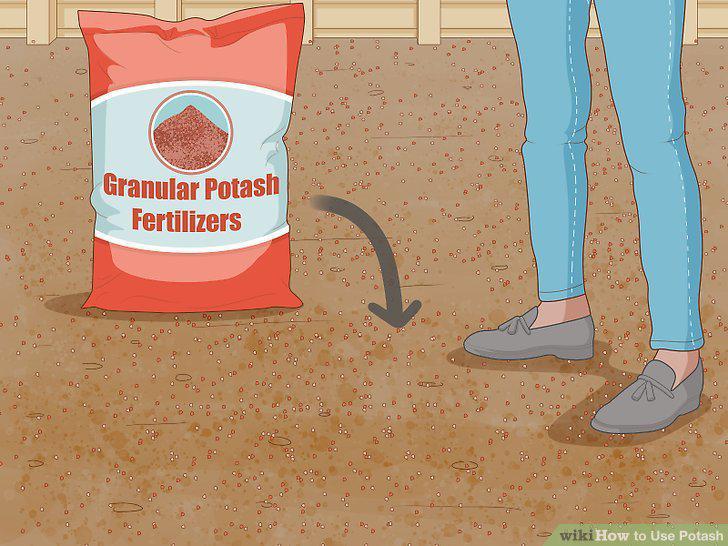 Step 12