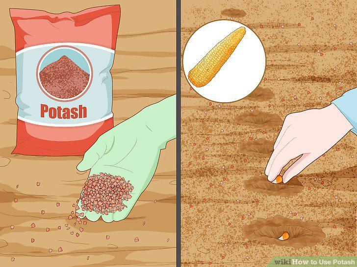 Step 10