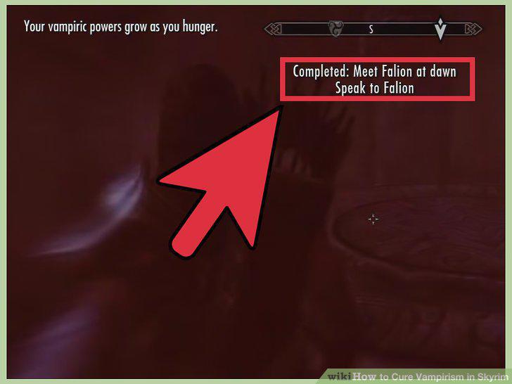 Step 10