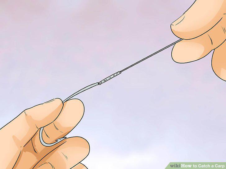 Step 11