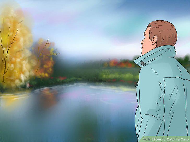 Step 12