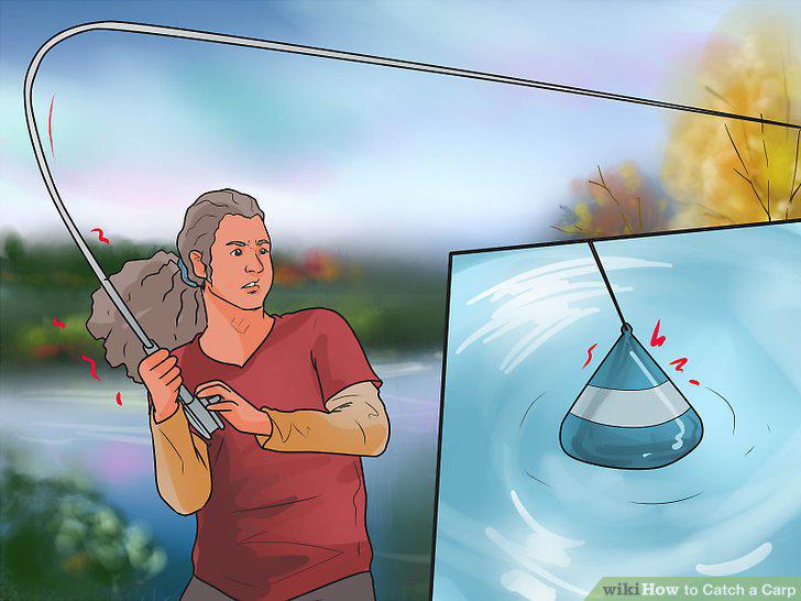 Step 15