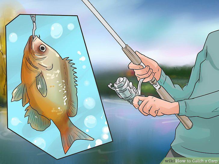 Step 16