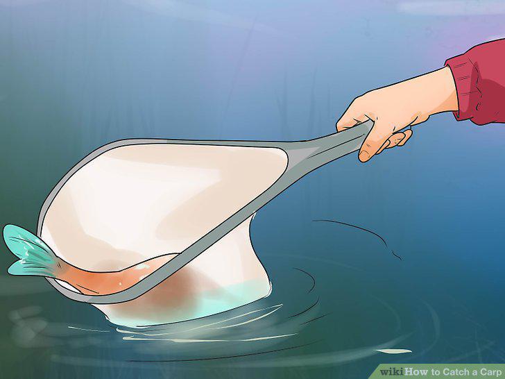 Step 17