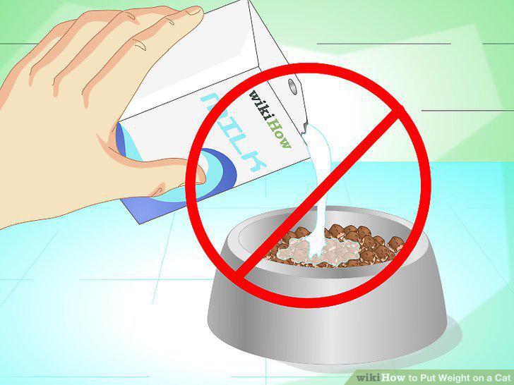 Step 11