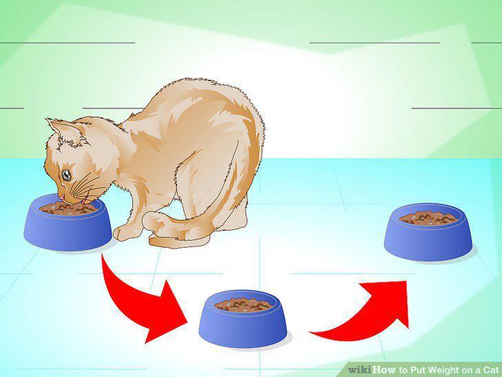 Step 8