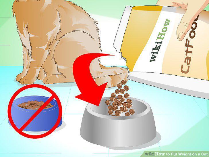 Step 9