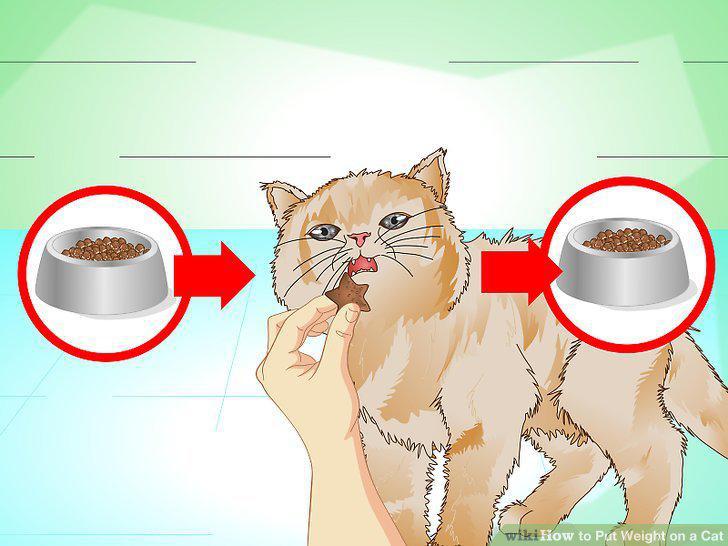 Step 10