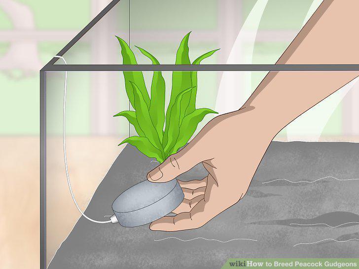 Step 3