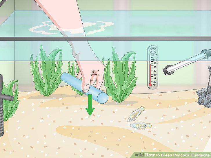 Step 9