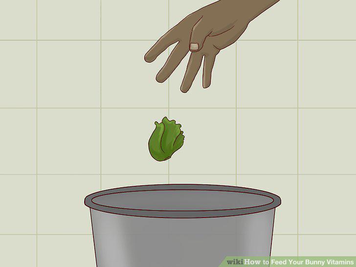Step 14
