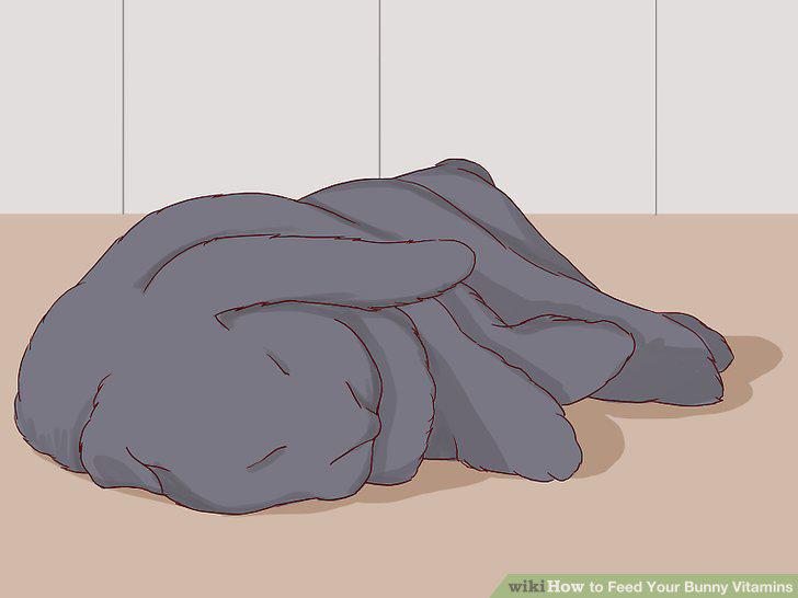 Step 5