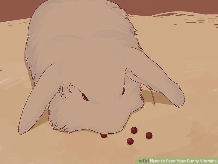 Step 10
