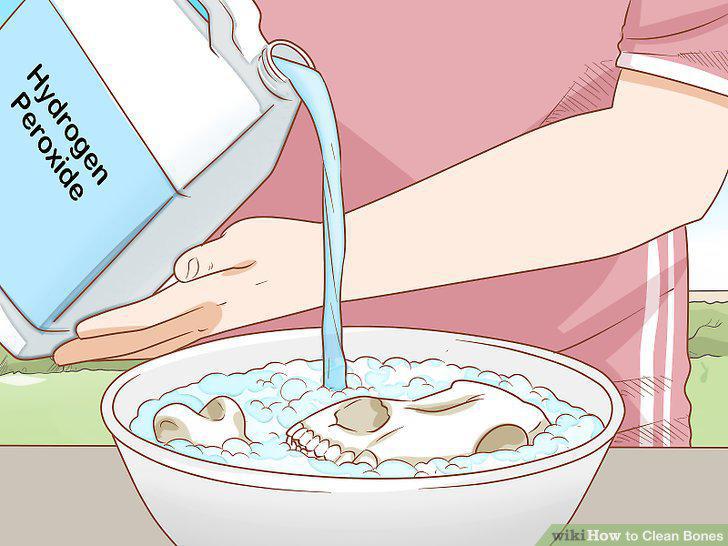 Step 11