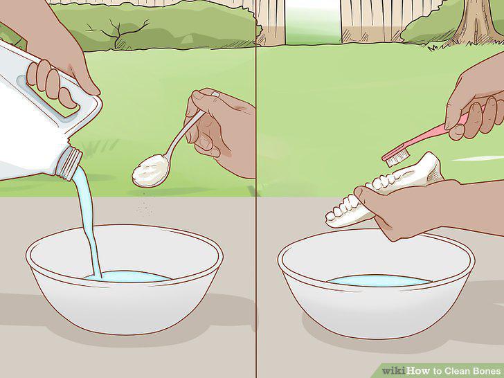 Step 12
