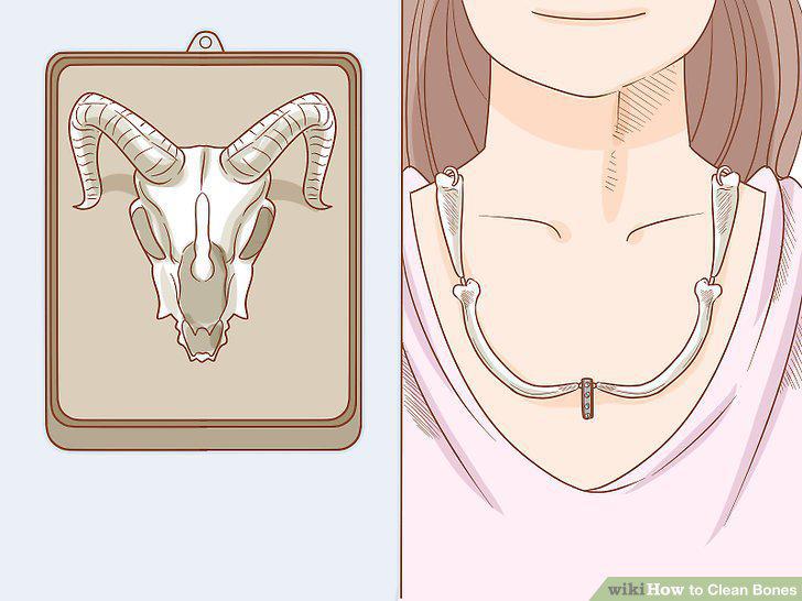 Step 15