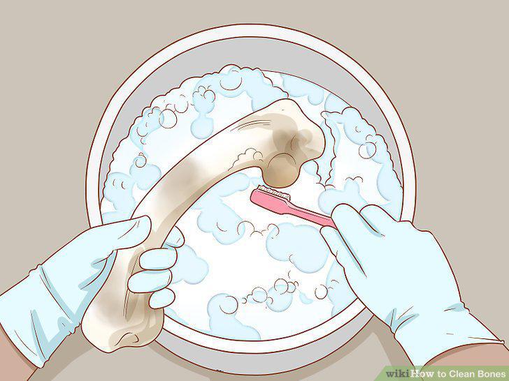 Step 9