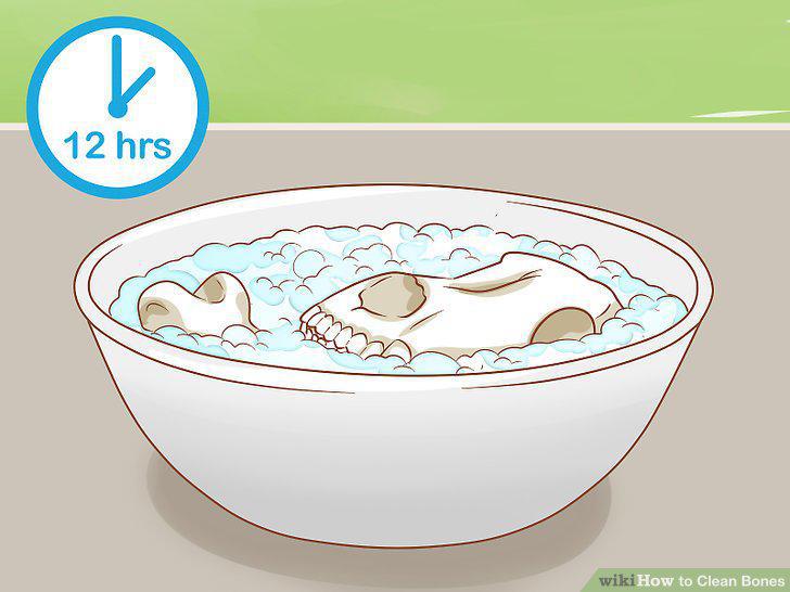Step 10