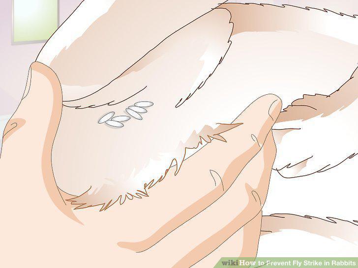Step 2