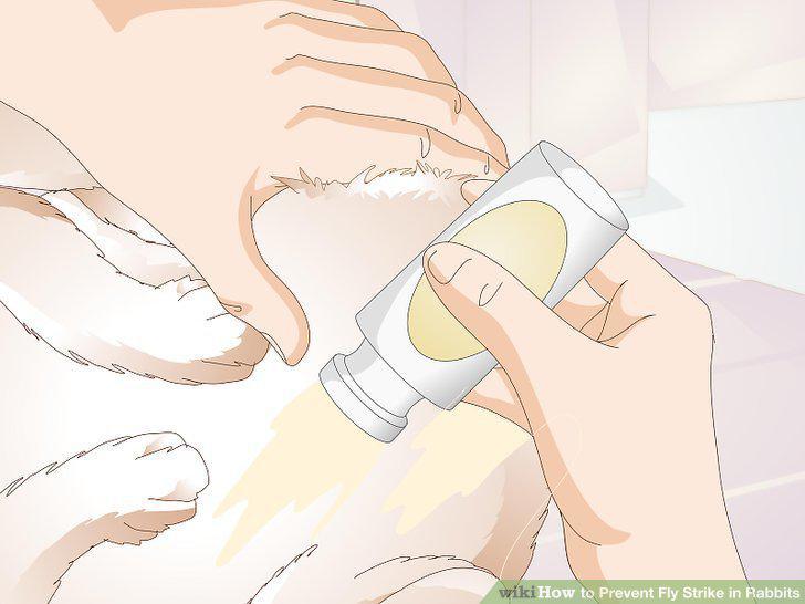 Step 11