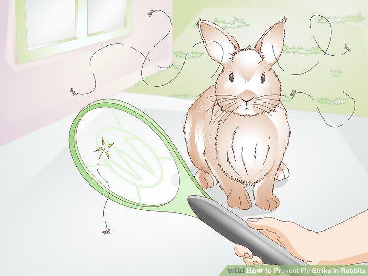 Step 12