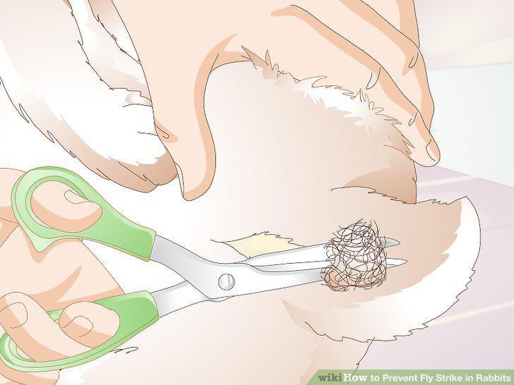 Step 7