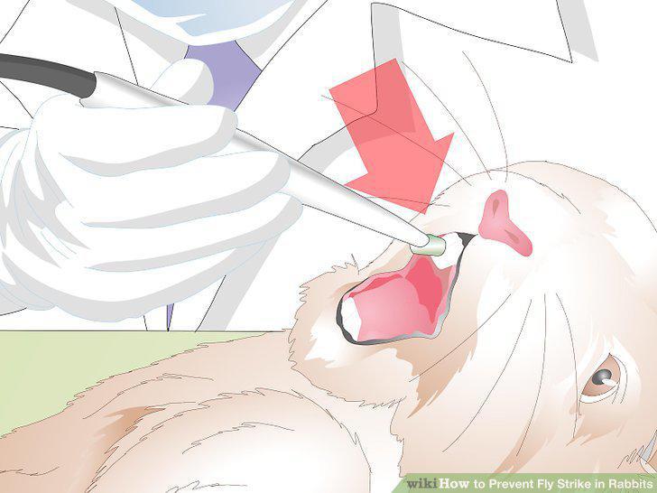 Step 9