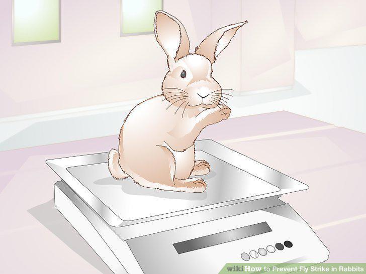Step 10