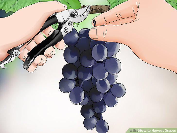 Step 9