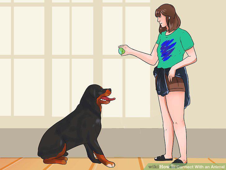 Step 6