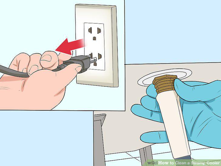 Step 12