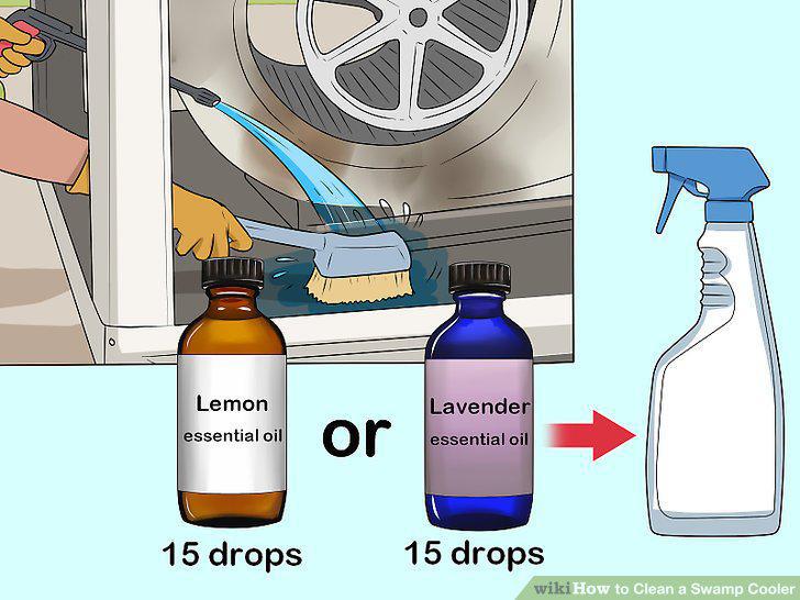 Step 13
