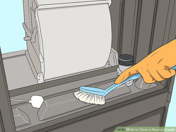 Step 5