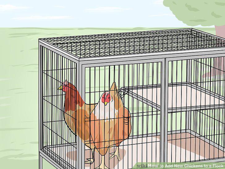 Step 6